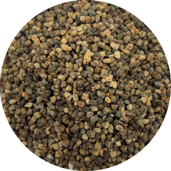 Bulk Cardamom Seed Decorticated