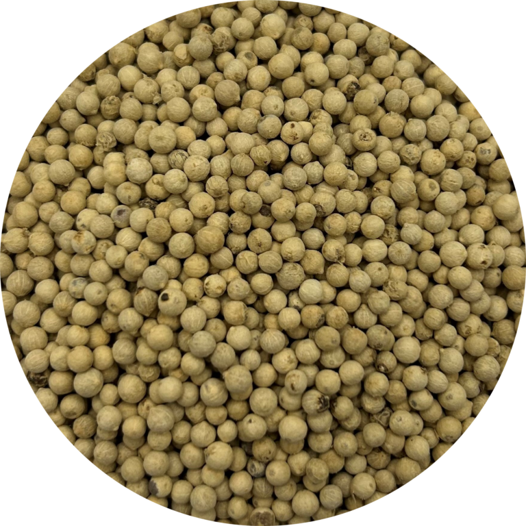 Bulk White Pepper Whole at Wholesale Prices Hudson®